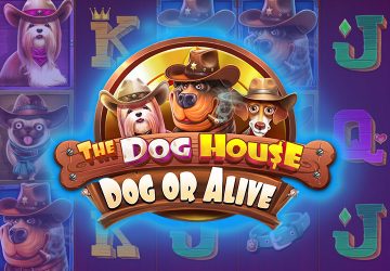 Playtech - игровой автомат онлайн от Various с RTP 97.19%